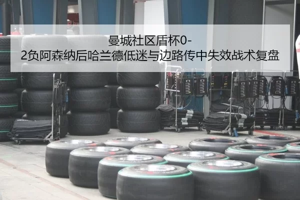 man-cheng-she-qu-dun-bei-fu-a-sen-na-hou-ha-lan-de-di-mi-yu-bian-lu-chuan-zhong-shi-xiao-zhan-shu-fu-pan-3-977.jpg